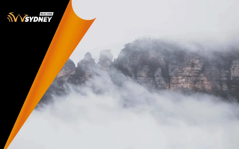 From the CBD to the Blue Mountains: Why a Chartered Coach is the Best Way to See Sydney This Winter