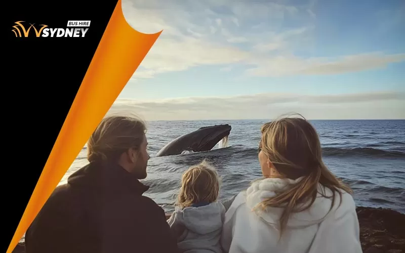 family is whale watching, Sydney trips, eco-friendly, January 2025, Australia